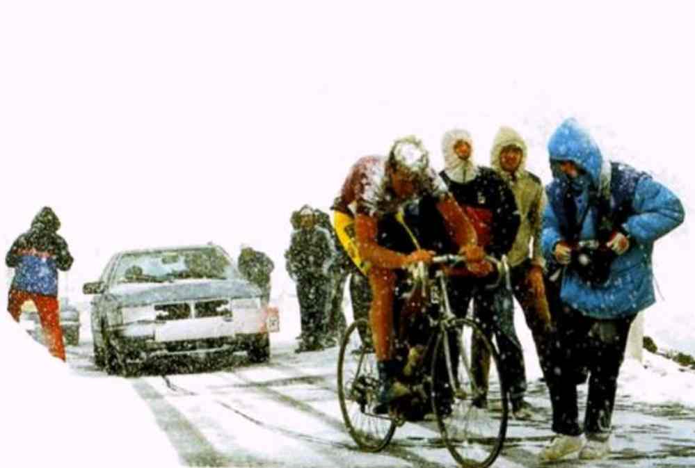 van_der_velde_gavia_1988.jpg