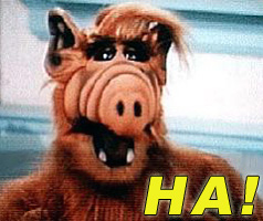 alf-ha.jpg