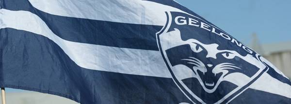 geelong-cats-flag_zps0dc37b29.jpg