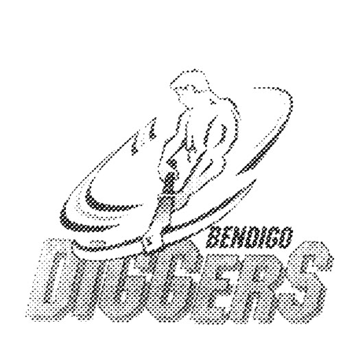 BendigoDiggers.jpg