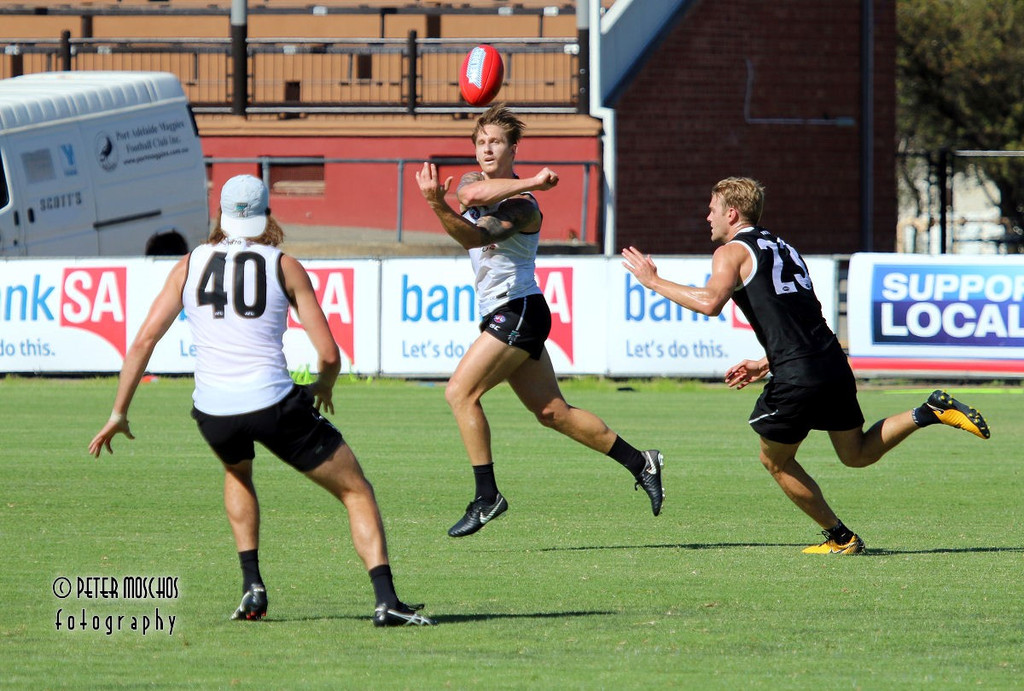 Power%20Pre-Season%20Training%20Pics%20Wednesday%2024th%20January%202018%20041.jpg