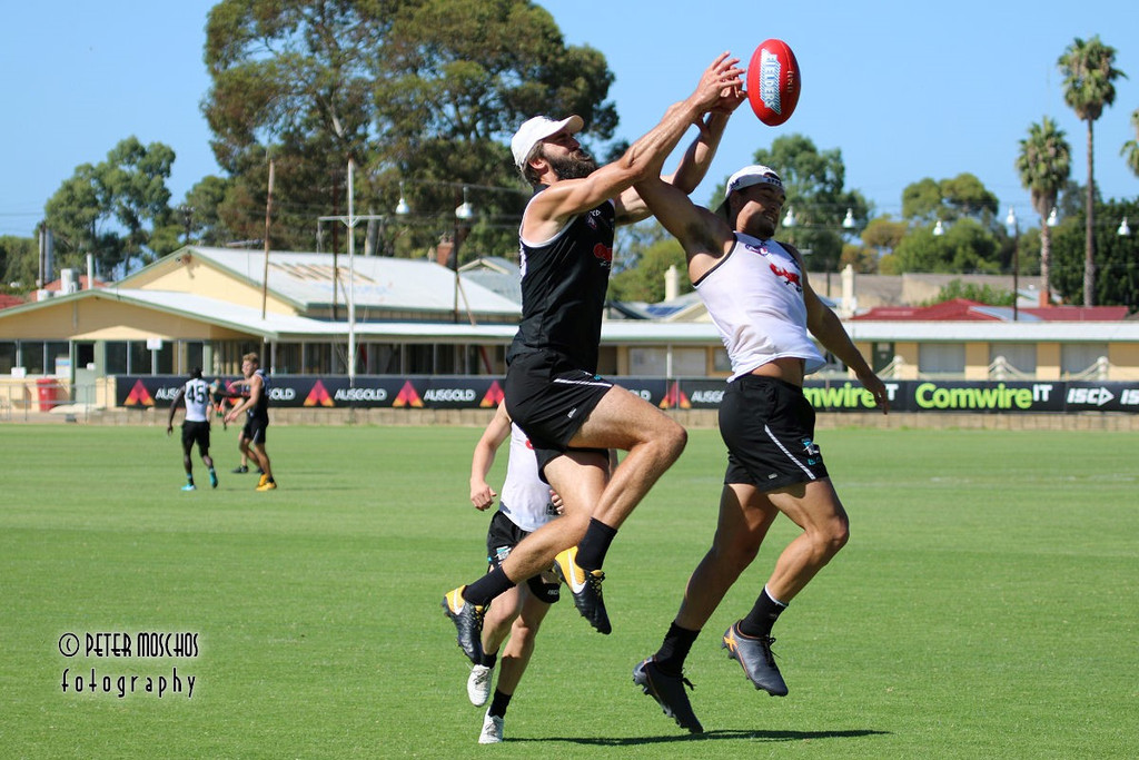 Power%20Pre-Season%20Training%20Pics%20Wednesday%2024th%20January%202018%20055.jpg