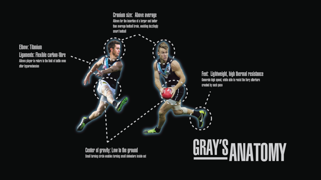 grays_anatomy2_zps17645727.png~original