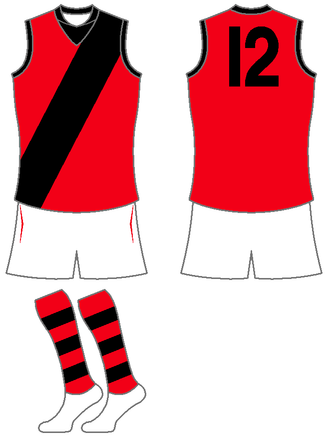 EssendonBombers2011Away.png