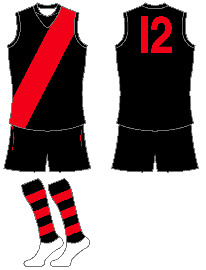 EssendonBombers2011Home.png