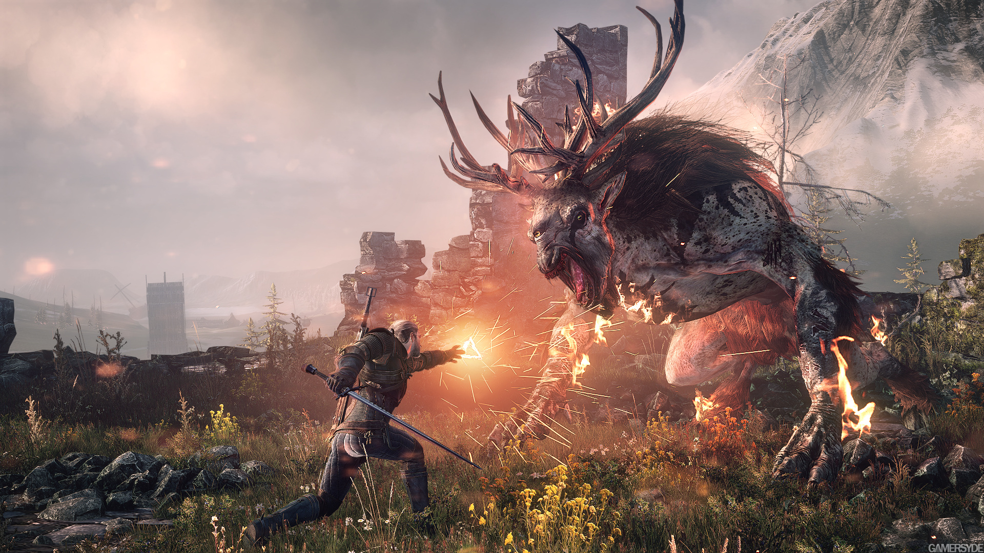 image_the_witcher_3_wild_hunt-22370-2651_0001.jpg