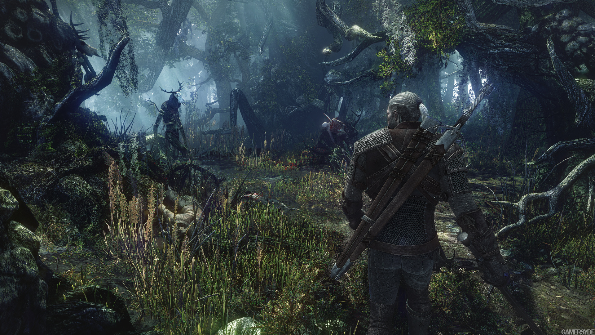 image_the_witcher_3_wild_hunt-22370-2651_0002.jpg