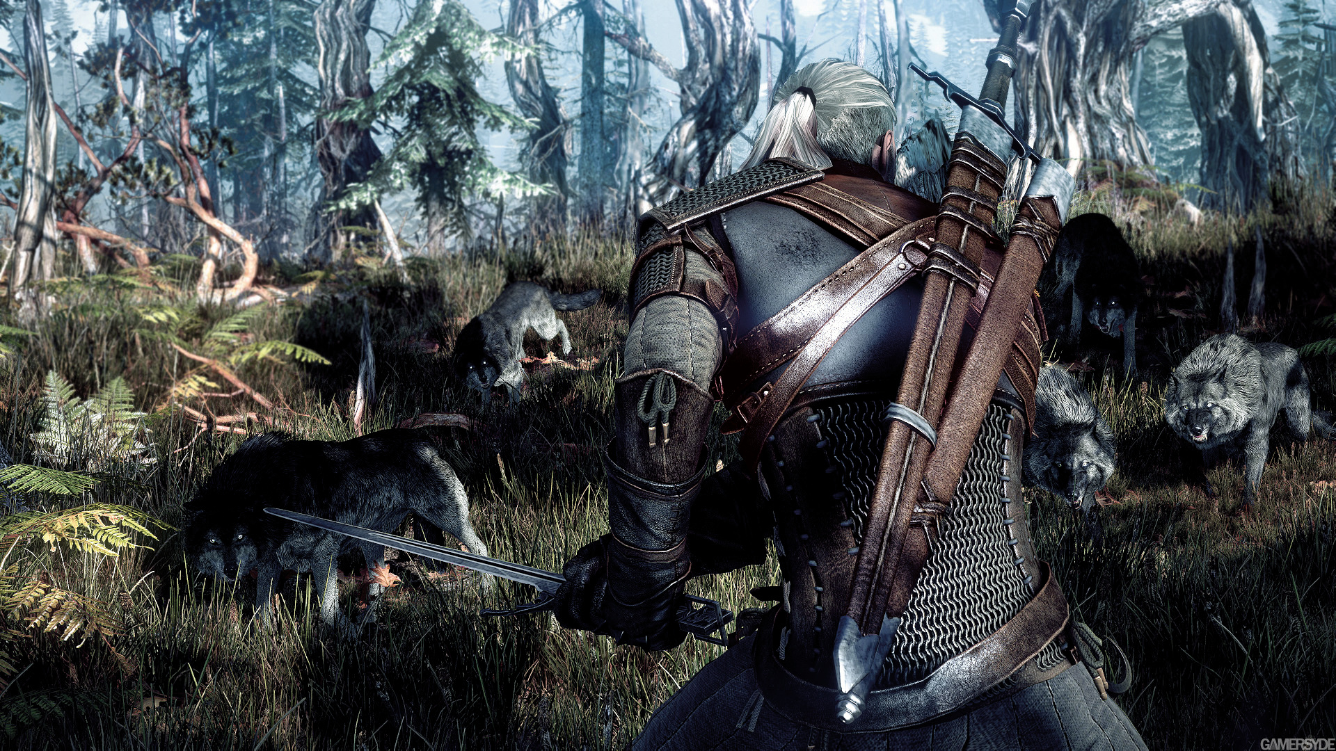 image_the_witcher_3_wild_hunt-22370-2651_0006.jpg