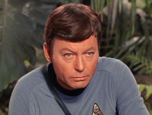 Leonard-McCoy-leonard-bones-mccoy-6347756-500-379.jpg