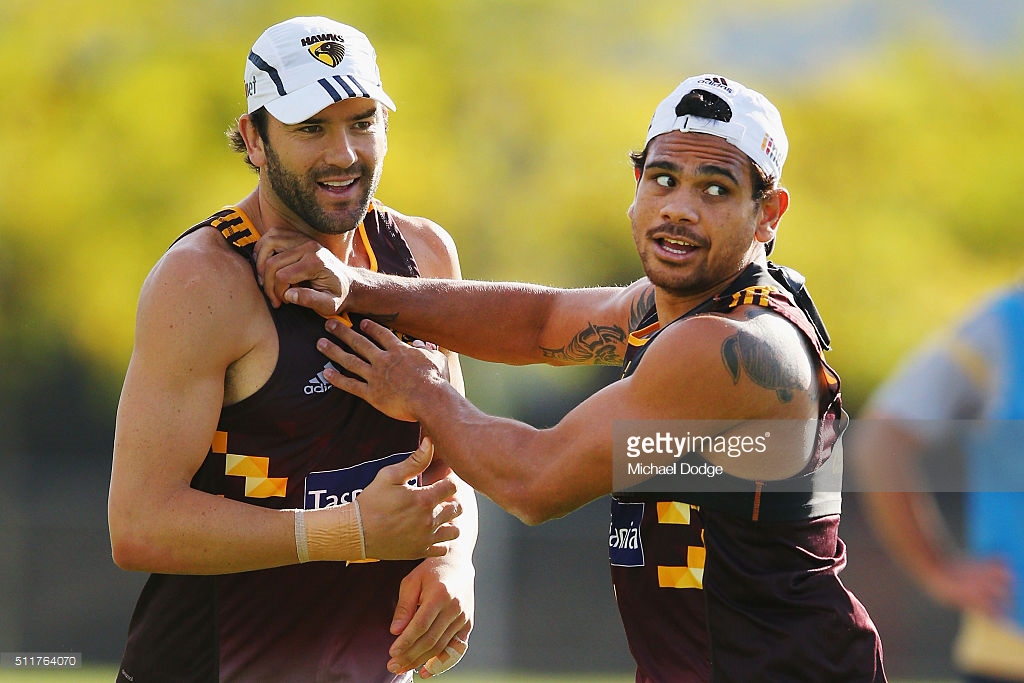 cyril-rioli-of-the-hawks-pushes-away-jordan-lewis-during-a-hawthorn-picture-id511764070