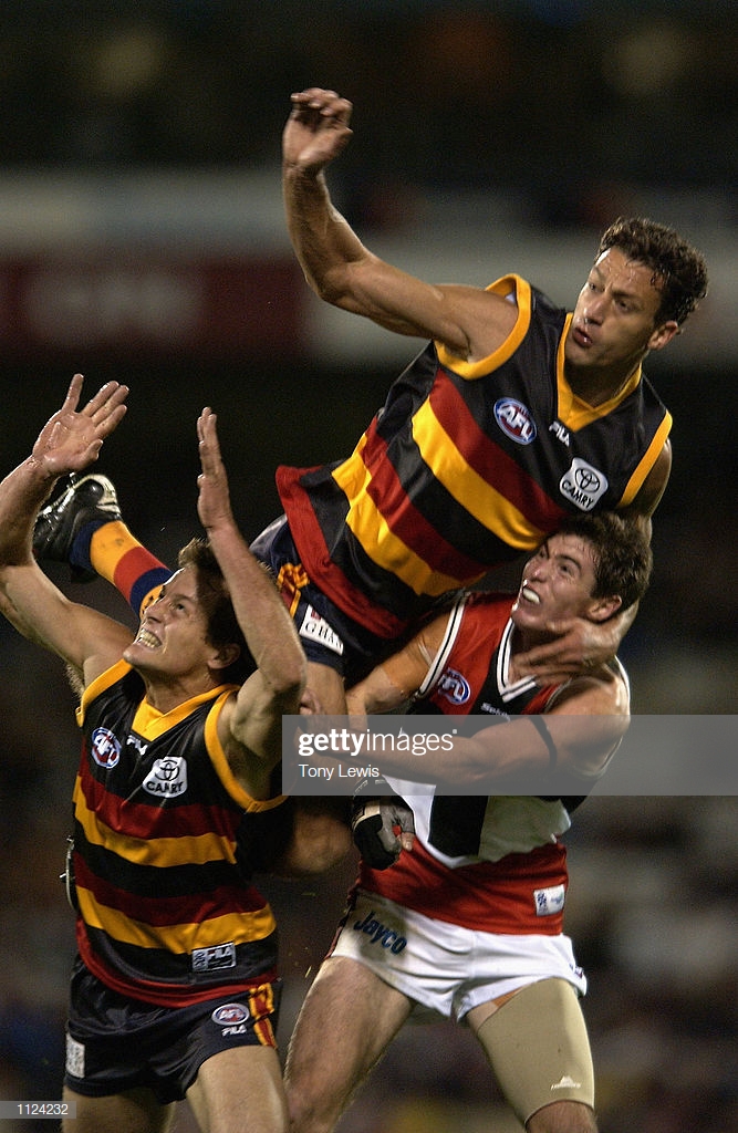 matthew-clarke-and-mark-stevens-for-adelaide-fly-up-in-the-afl-round-picture-id1124232