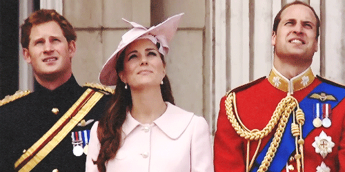 2001c8c2ae5dd1fc_prince-harry-kate-middleton-prince-wiliam-looking-up-gif.gif