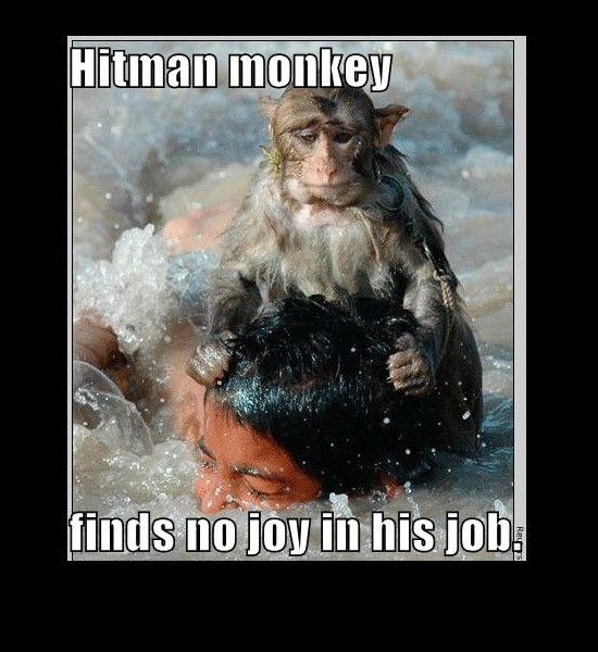hitman-monkey.jpg