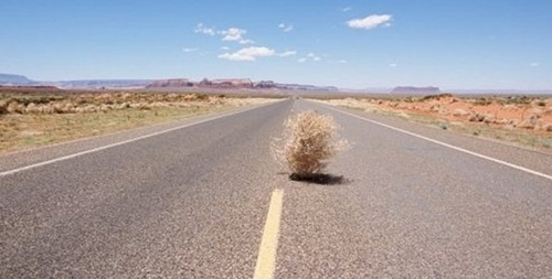 tumbleweed.jpg