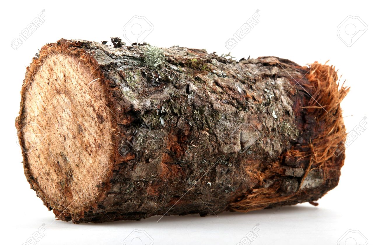 17111518-The-logs-of-fire-wood-isolated-on-white--Stock-Photo-wood-log-pile.jpg