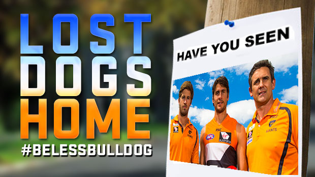 Lost-Dogs-V1-slider.jpg.jpeg