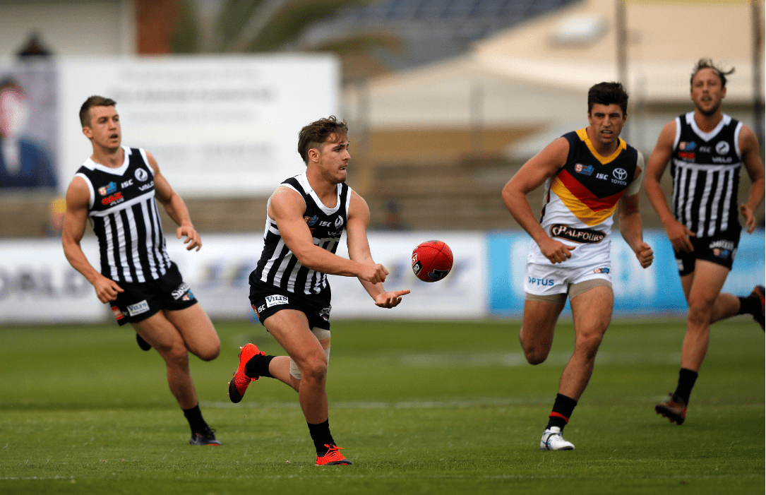 sanfl.com.au