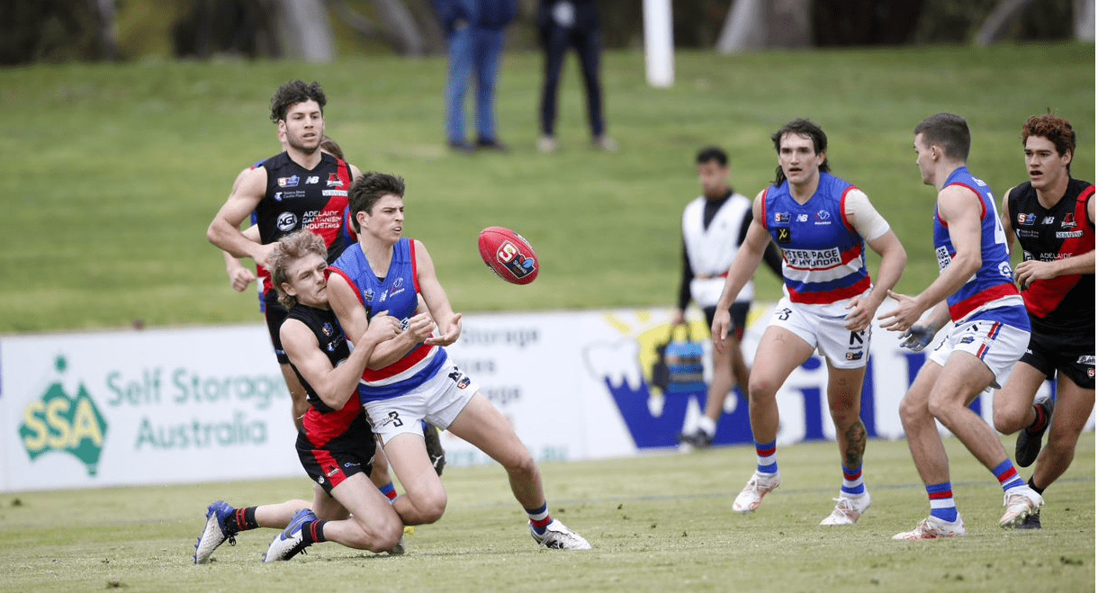 sanfl.com.au