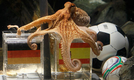 Paul-The-Octopus--007.jpg