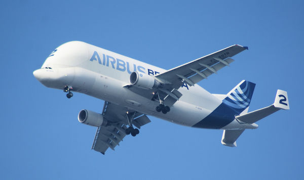 thumb-1361222985876-airbus_guppy_2.jpg