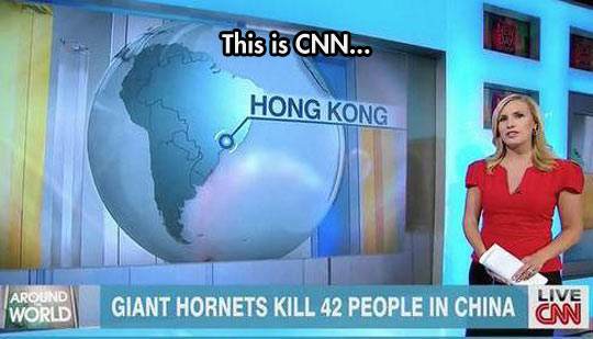 cool-CNN-news-reporter-hornets-China.jpg