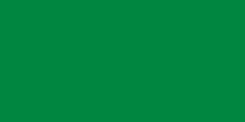 500px-Flag_of_Libya_%281977-2011%29.svg.png