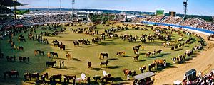 300px-RAS_Grand_Parade_2001_composite.jpg