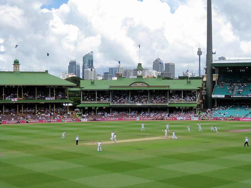 800px-Ashes_2010-11_Sydney_Test_final_wicket.jpg