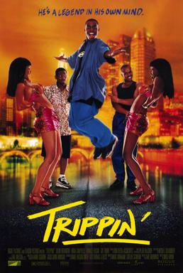 Trippin_dvd_cover.jpg