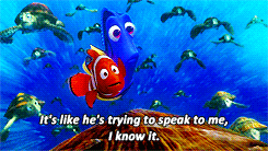Finding-Nemo-Its-like-hes-trying....gif