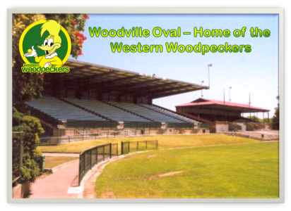 woodville-oval-woodpeckers-home-png.9858