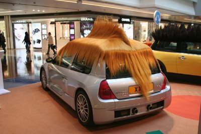 Hairy-Car.jpg