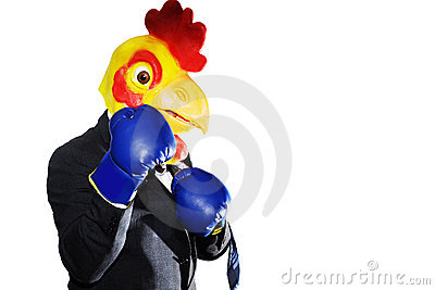 chicken-boxing-in-a-suit-isolated-thumb11811498