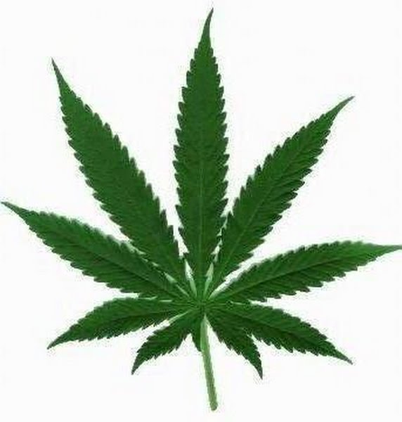 weed-leaf.jpg