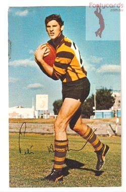 main_1971_vfl_mobil_football_card_photo_portraits_07_peter_hudson_hawthorn.jpg