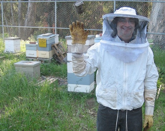 bee-keeper-560x446.jpg