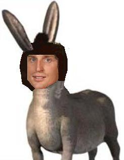 89712_michaelnewtondonkey2.JPG