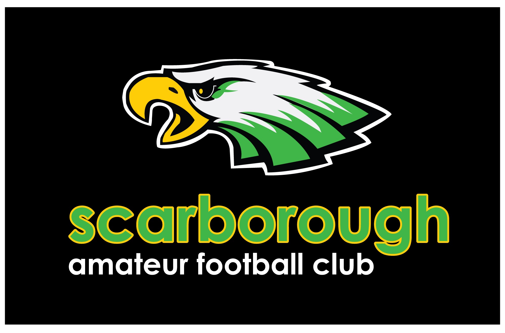 footy-scarb-flogo.jpg