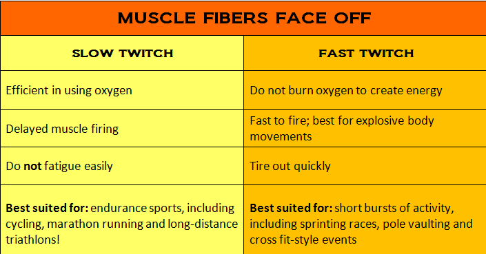 Marsh-muscle-fibers-table3.png