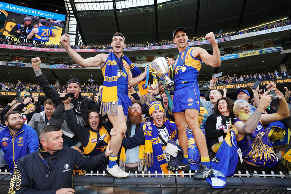 Image result for luke shuey grand final gif