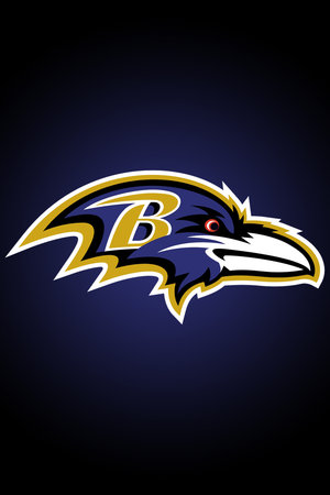 baltimore-ravens-profile.jpg