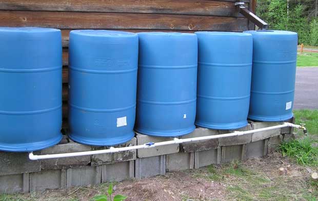 blue-rain-barrels.jpg