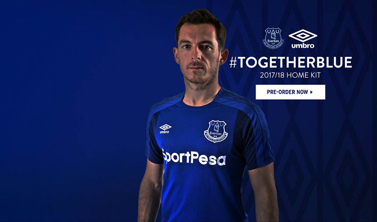 everton-17-18-home-kit%2B%25288%2529.JPG