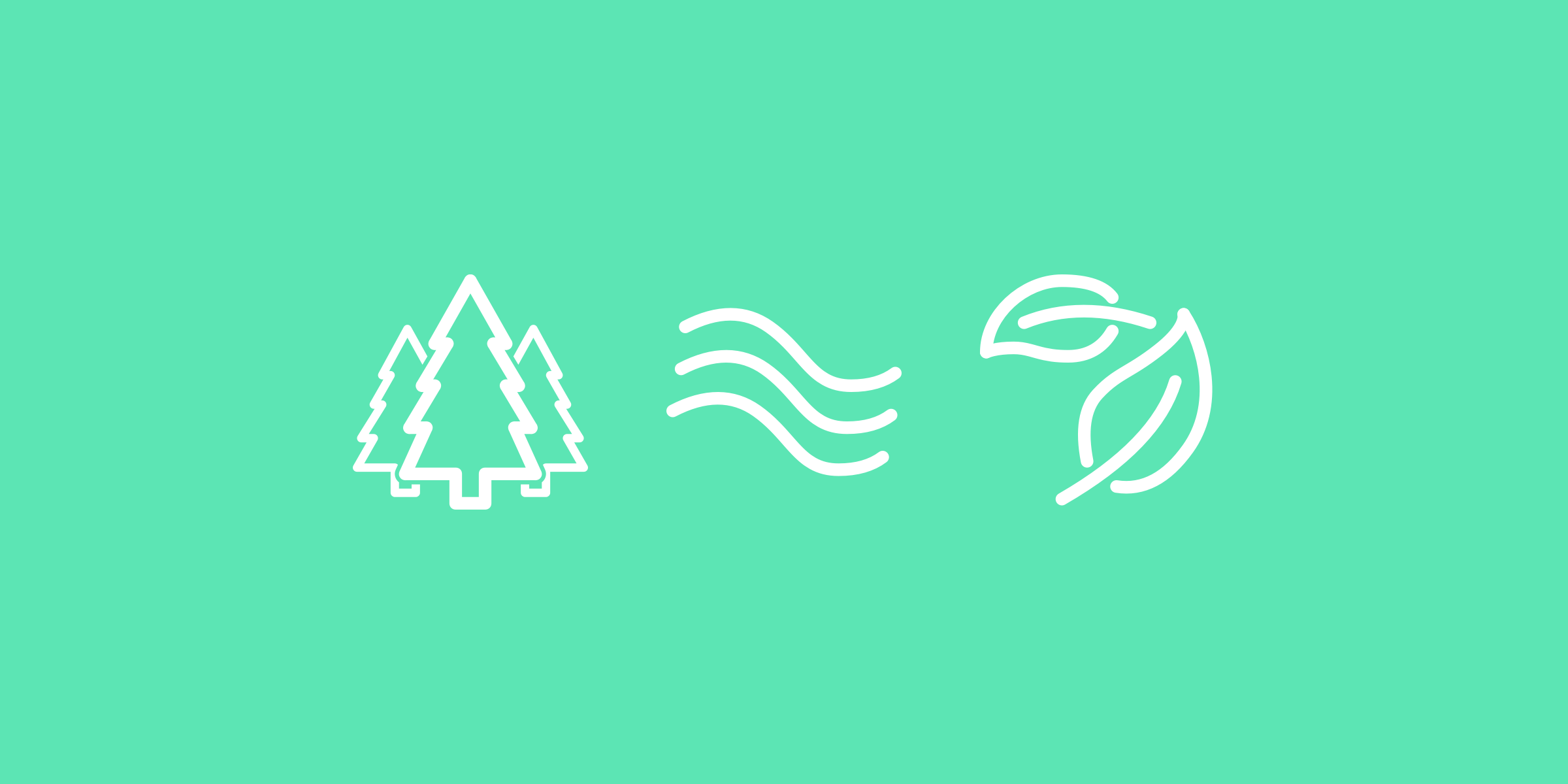 www.noisli.com