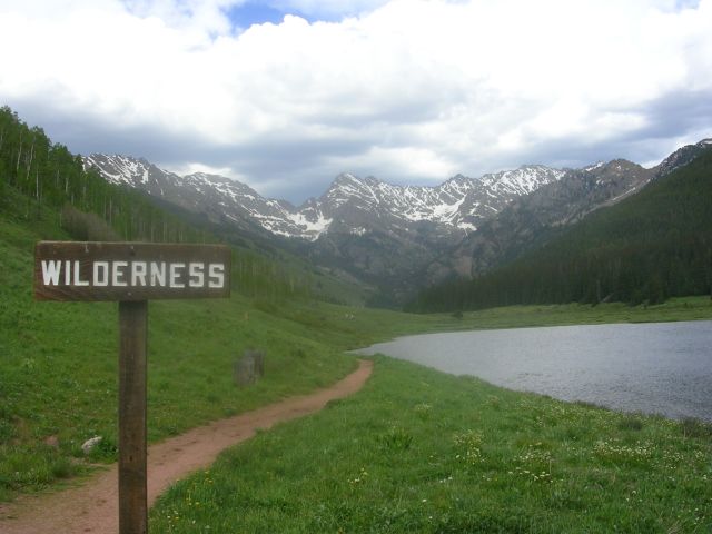 wilderness1.jpg