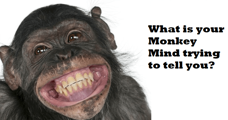 your-monkey-mind.png