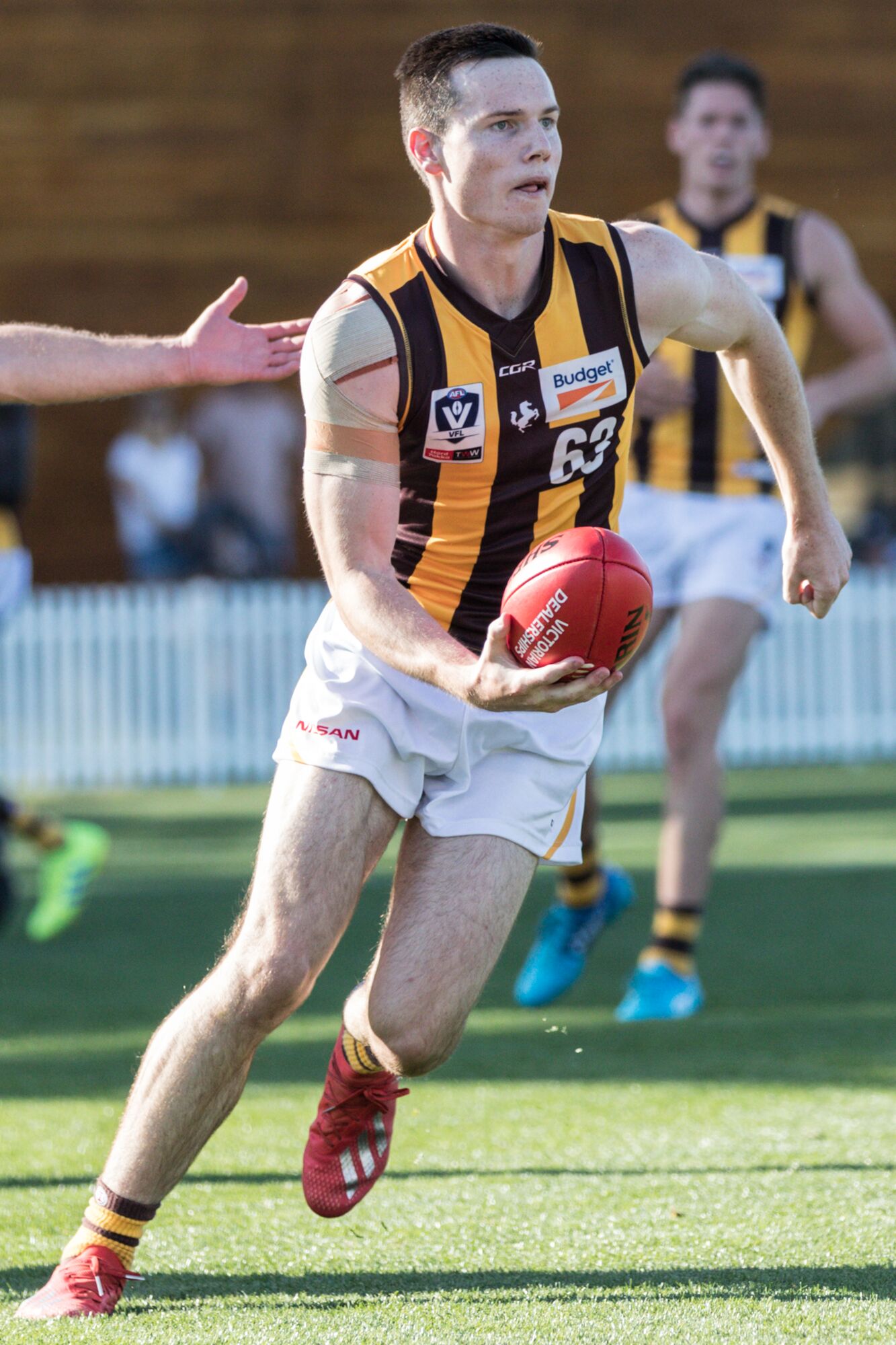 boxhillhawks.com.au