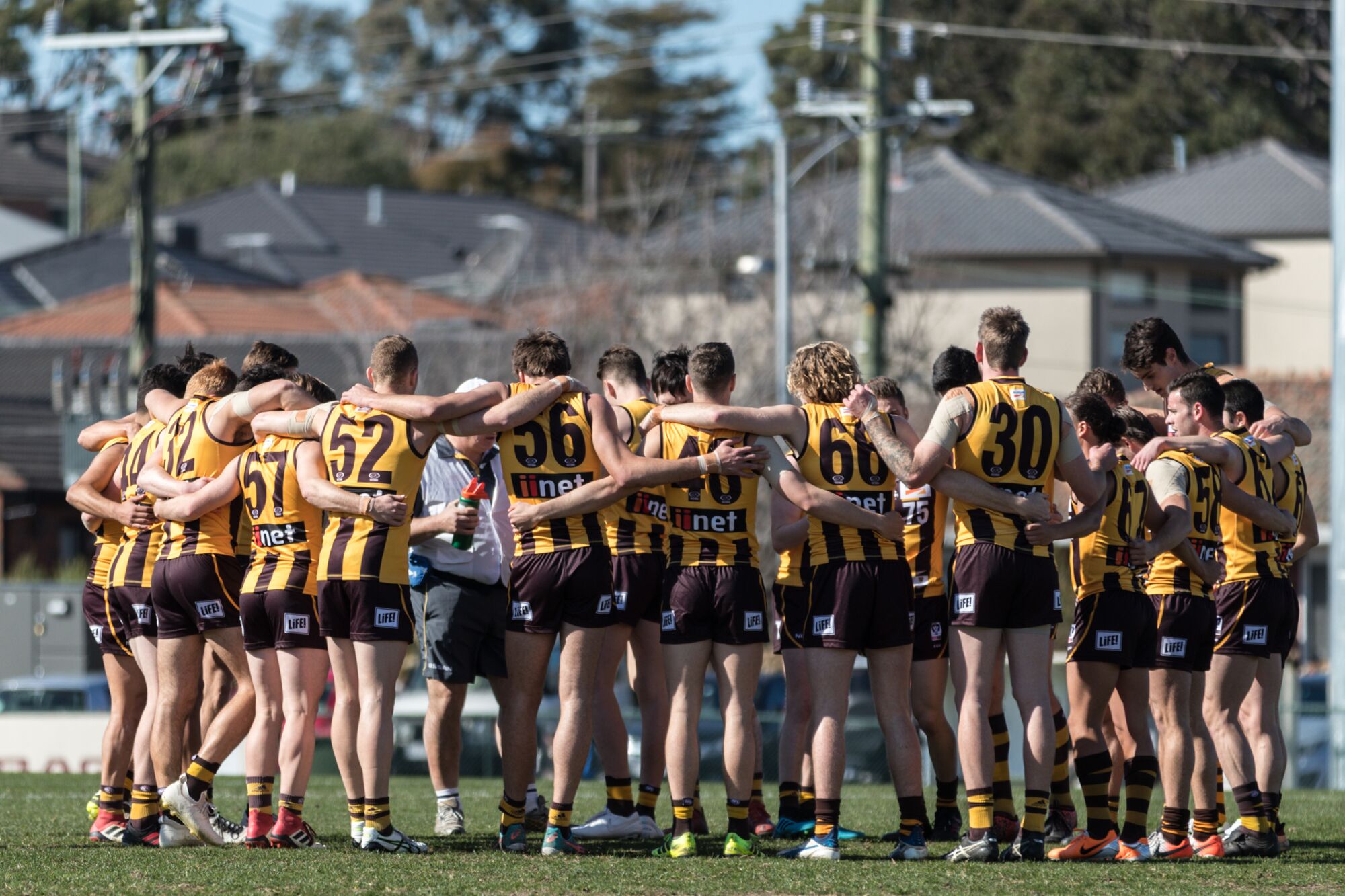 boxhillhawks.com.au