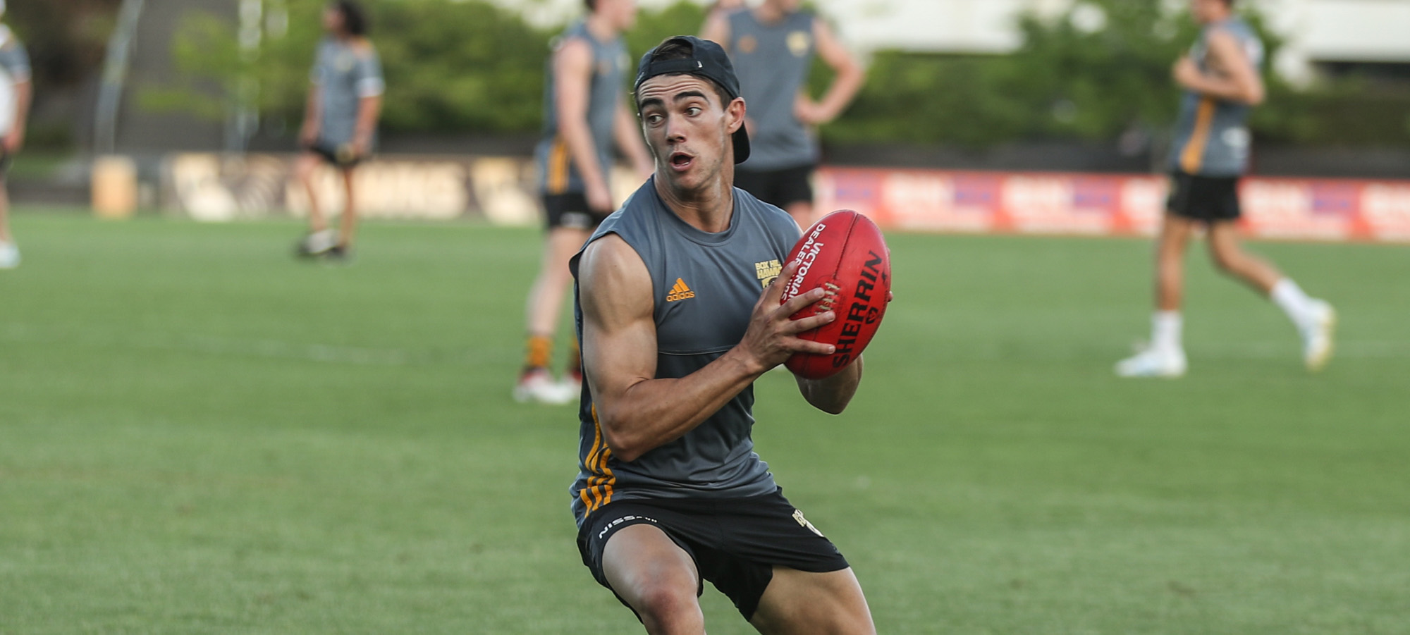 boxhillhawks.com.au