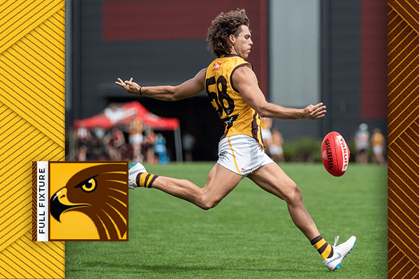 boxhillhawks.com.au